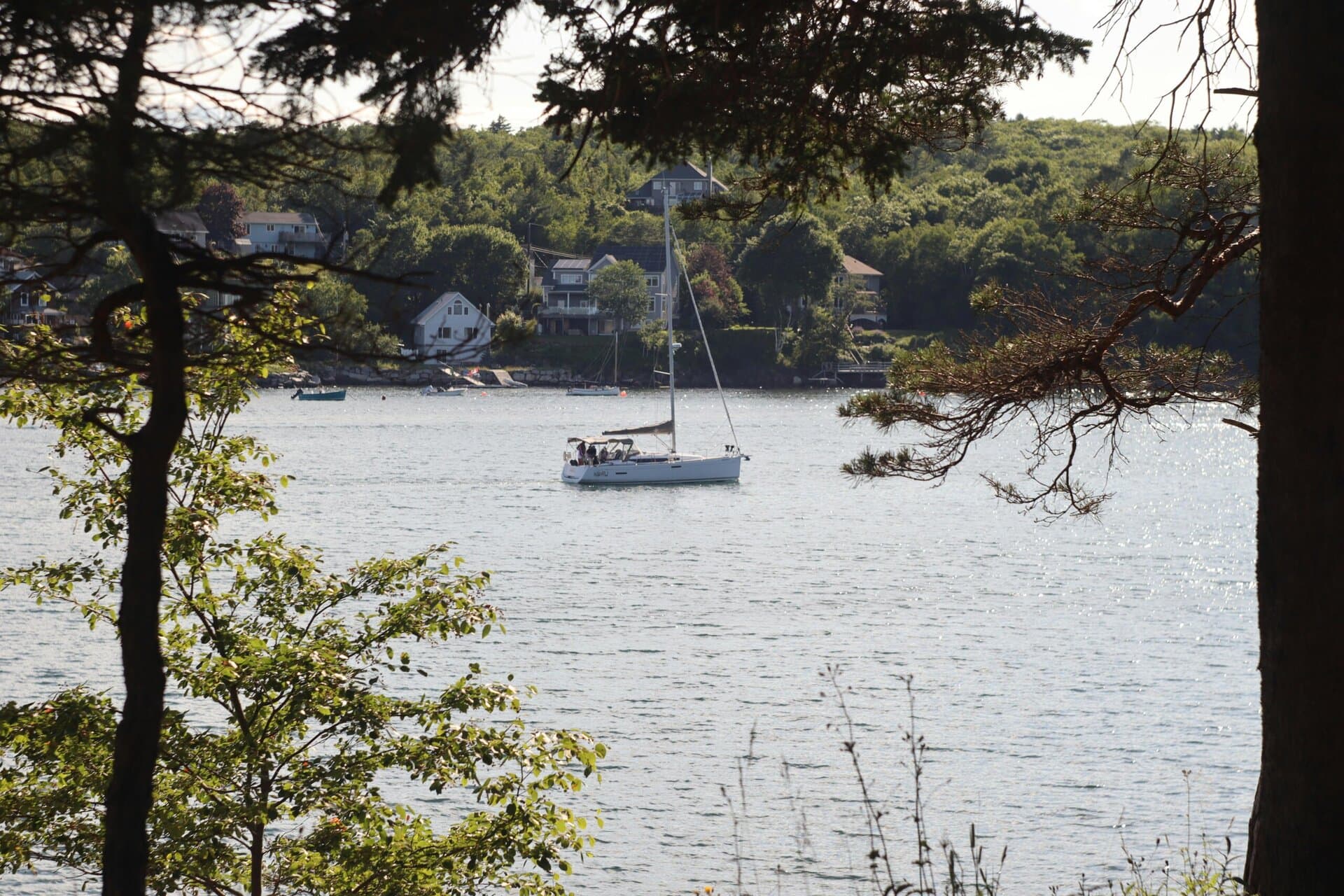 Serene Lake View with Sailing Boat and Forest