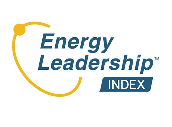Energy Leadership
Index™ (ELI) Assessment